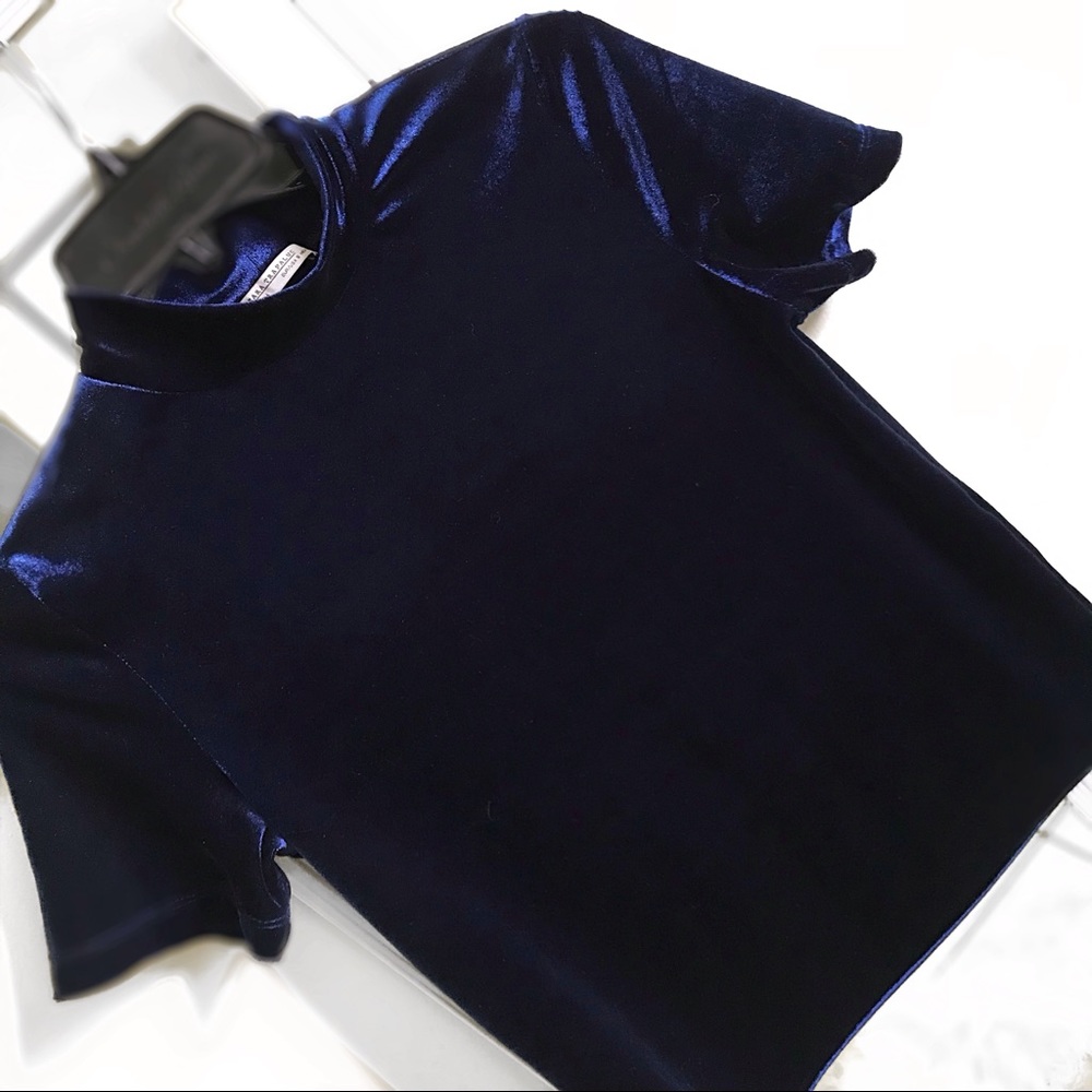 Zara Navy Blue Velvet Short Sleeve